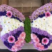 Butterfly tribute 
