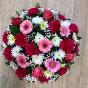 Pink and white posies 