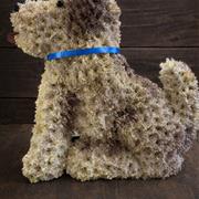 Dog 2 