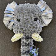 Elephants head