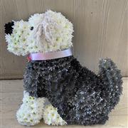 Dog 3